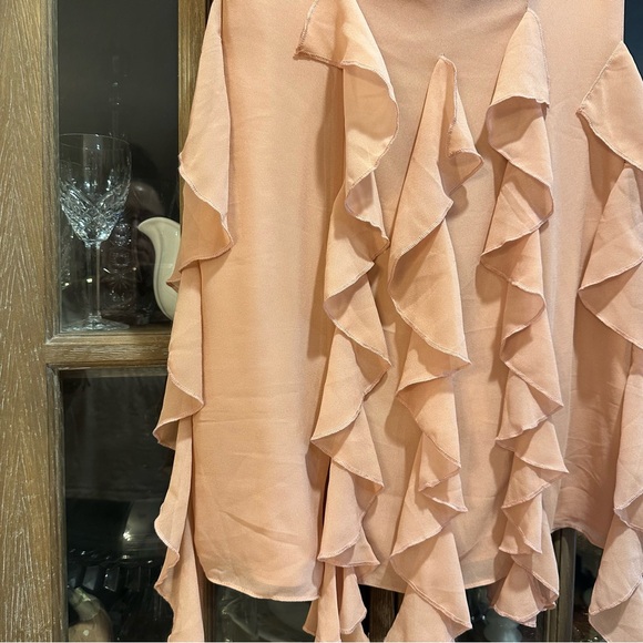 Revolve Denali Blush Mini Dress - Picture 5 of 11